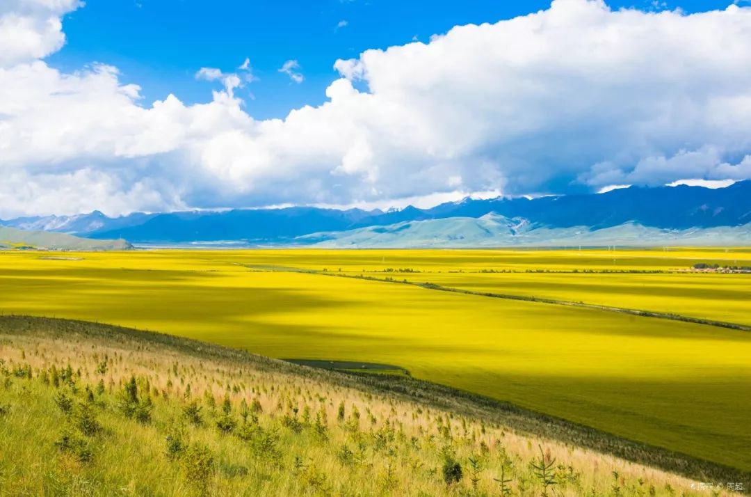 探寻青海之美，心之所向的旅程