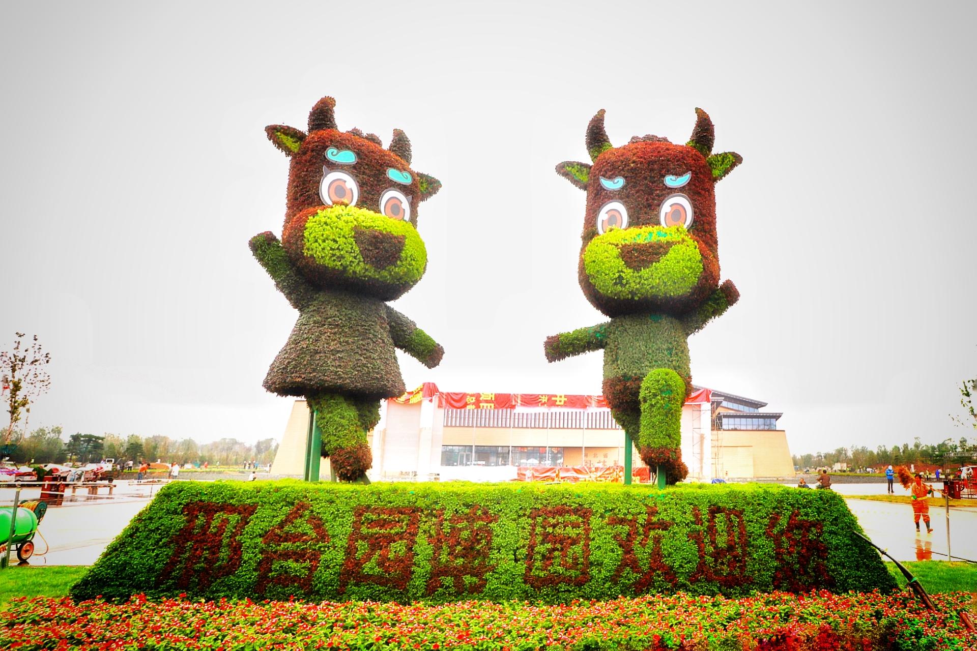 千年古城邢台,时光穿越的邂逅之旅